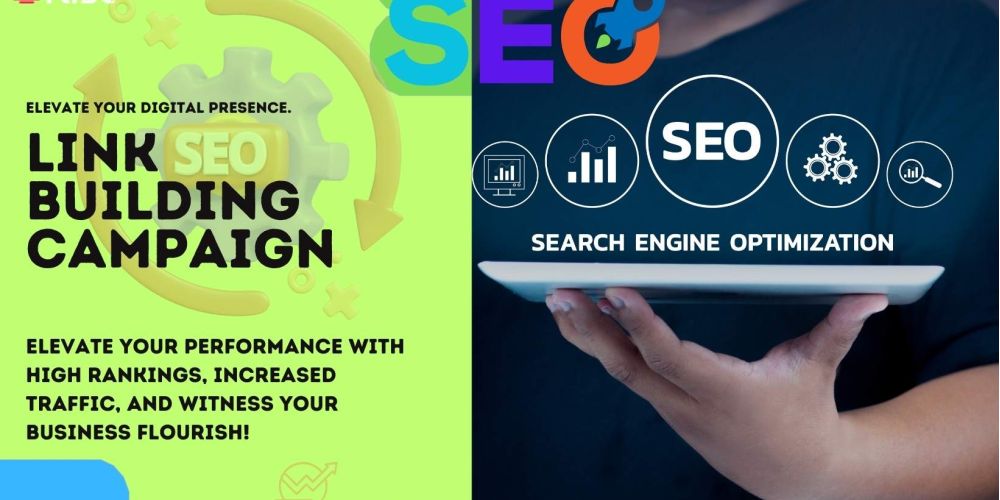 Link Building Campaign | IRISE SEO Agency 2024 6 Link Building Campaign