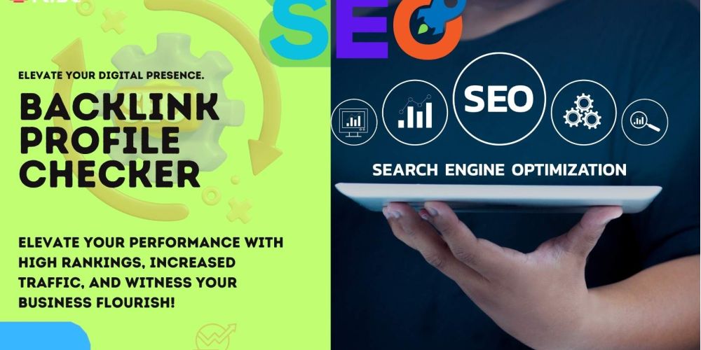 Backlink Profile | IRISE SEO Agency 2024 6 Backlink Profile Checker