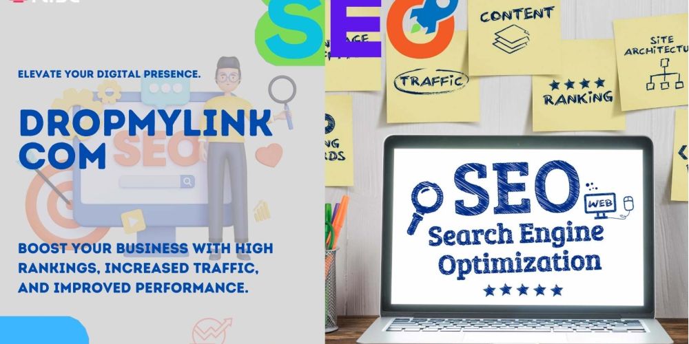 Dropmylink Com | IRISE SEO Agency 2024 6 Dropmylink Com