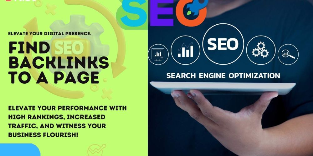 Find Backlinks To A Page | IRISE SEO Agency 2024 6 Find Backlinks To A Page
