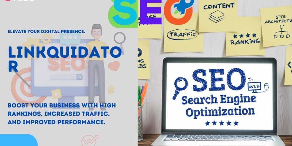 Linkquidator | IRISE SEO Agency 2024 6 Linkquidator