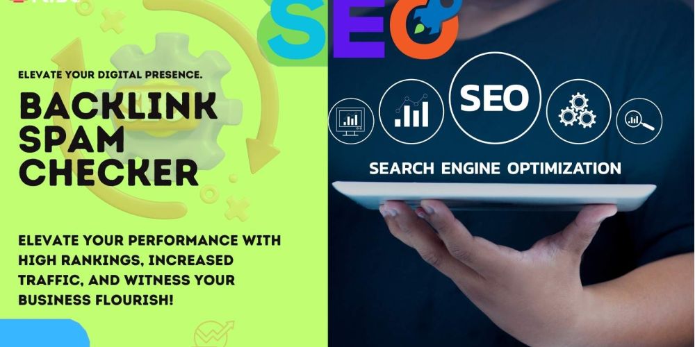 Backlink Spam Checker | IRISE SEO Agency 2024 6 Backlink Spam Checker