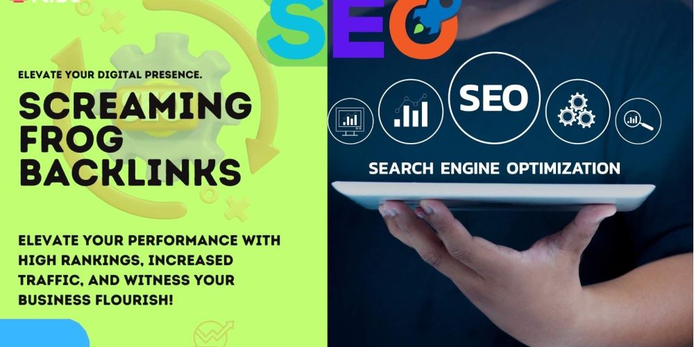 Screaming Frog Backlinks | IRISE SEO Agency 2024 6 Screaming Frog Backlinks