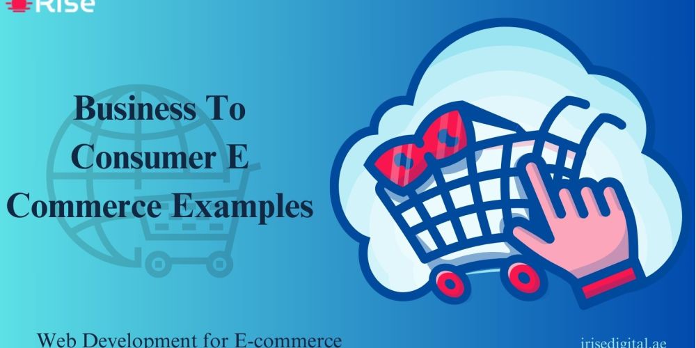BUSINESS TO CONSUMER E COMMERCE EXAMPLES 1 business to consumer e commerce