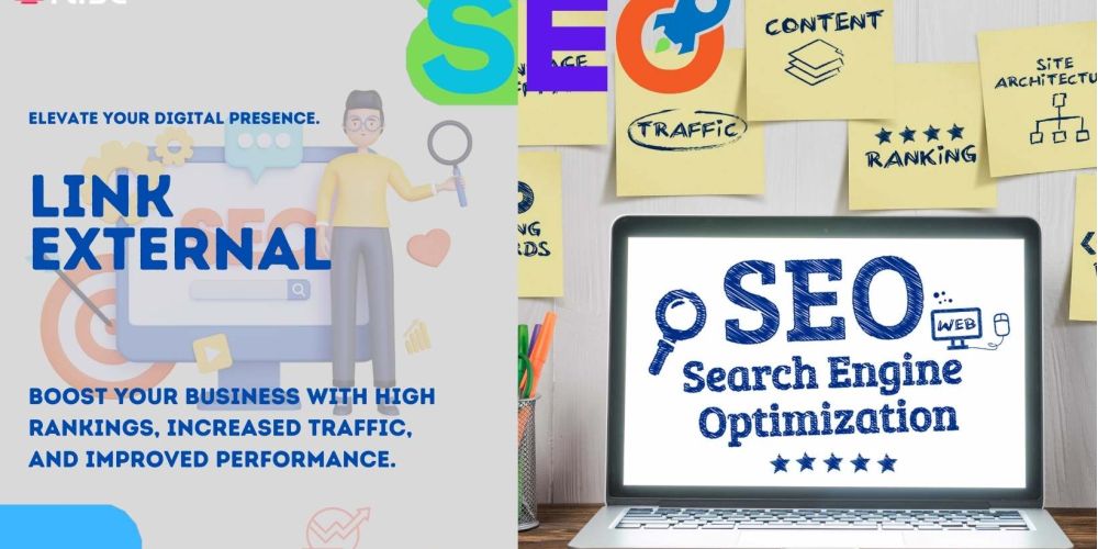 Link External | IRISE SEO Agency 2024 6 Link