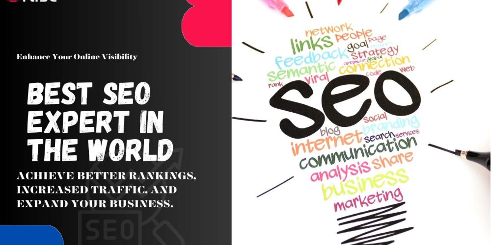 Best Seo Expert In The World | IRISE SEO Agency 2024 6 Best Seo Expert In The World