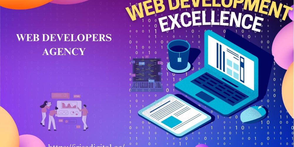 Web Developers Agency 12 Web Developers Agency