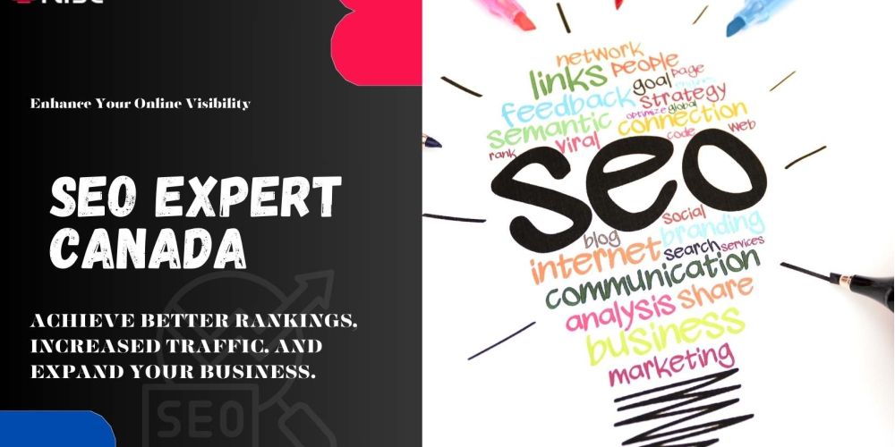 Seo Expert Canada | IRISE SEO Agency 2024 6 Seo Expert Canada