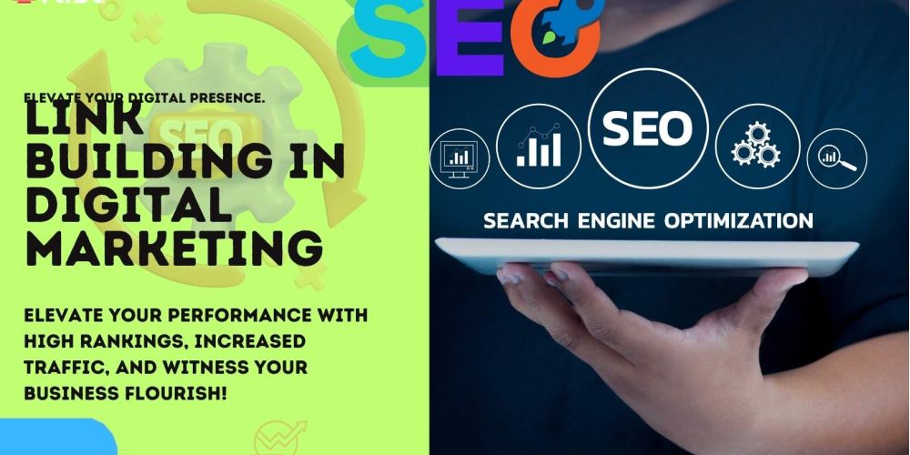 Link Building In Digital Marketing | IRISE SEO Agency 2024 6 Link Building In Digital Marketing