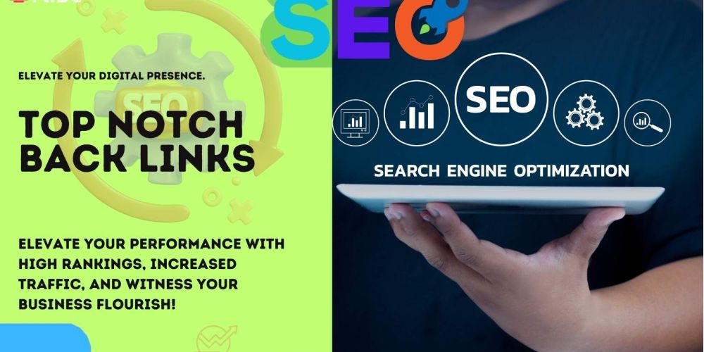 Top Notch Back Links | IRISE SEO Agency 2024 6 Top Notch Back Links