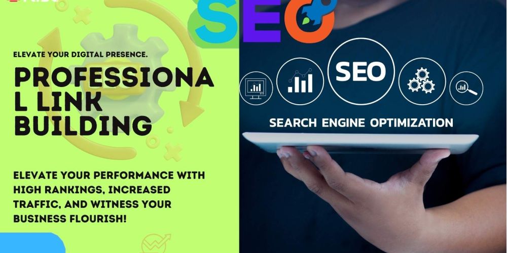 Professional Link Building | IRISE SEO Agency 2024 6 Professional Link Building