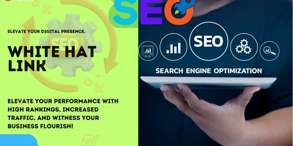White Hat Link | IRISE SEO Agency 2024 6 White Hat Link
