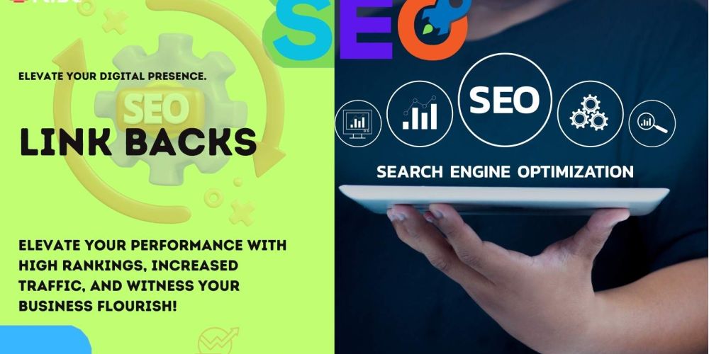 Link Backs | IRISE SEO Agency 2024 6 Link Backs