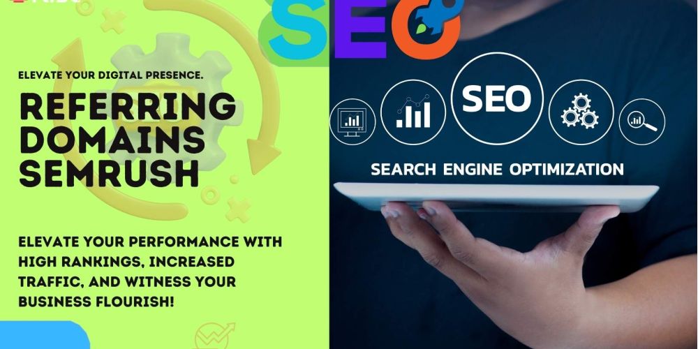 Referring Domains Semrush 29a841d8