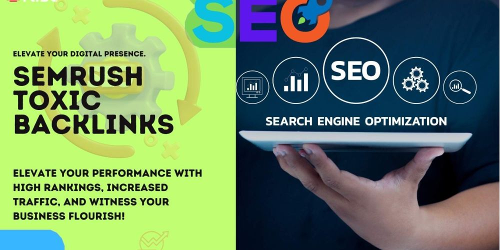 Semrush Toxic Backlinks 2b8b269e