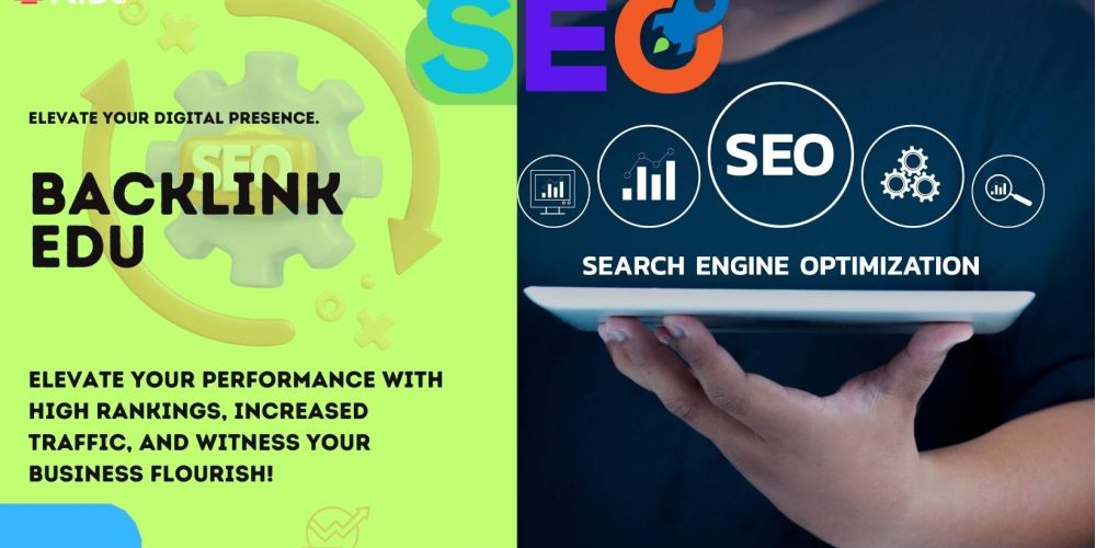 Backlink Edu | IRISE SEO Agency 2024 6 Backlink Edu 4b8f6cdc