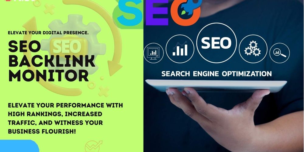 Seo Backlink Monitor 8a900340