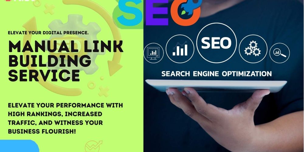 Manual Link Building Service e65f4aa6