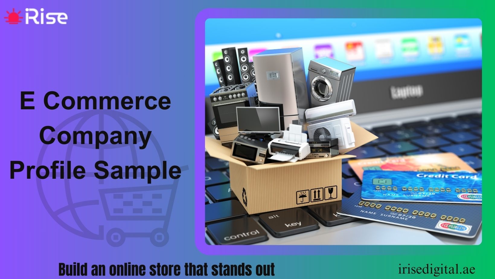 E COMMERCE COMPANY PROFILE SAMPLE - iRise Digital