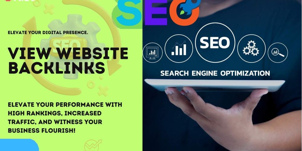 View Website Backlinks 03ca466b