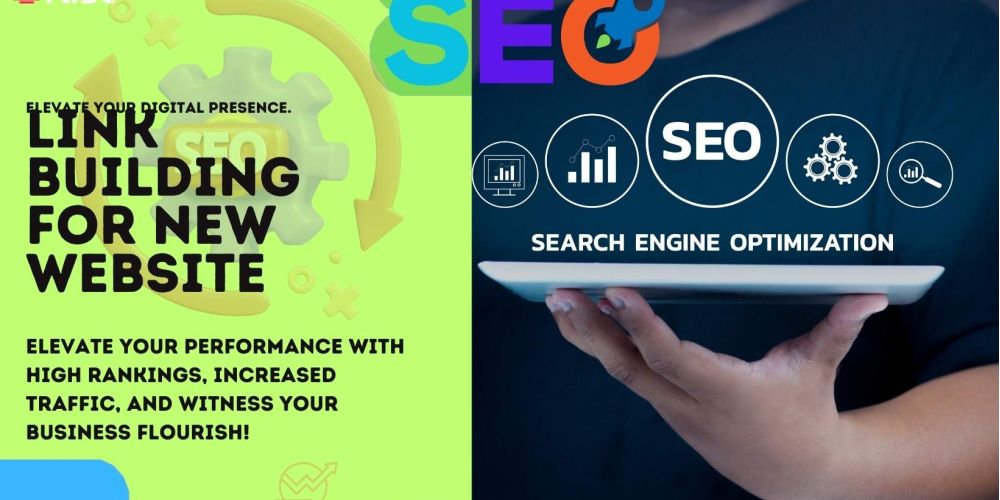 Link Building For New Website | IRISE SEO Agency 2024 6 Link Building For New Website 0792f5e2