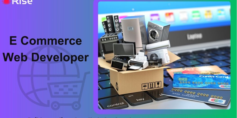 e commerce web developer 1757e414