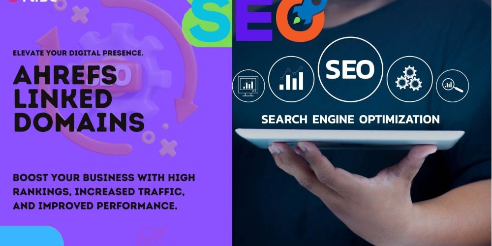 Ahrefs Linked Domains 2c54a8c5