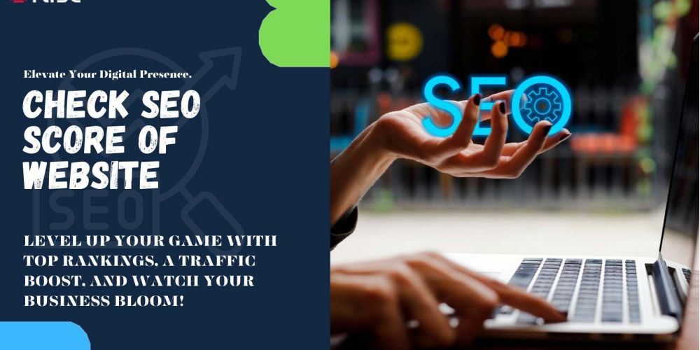 Check Seo Score Of Website 38276d82