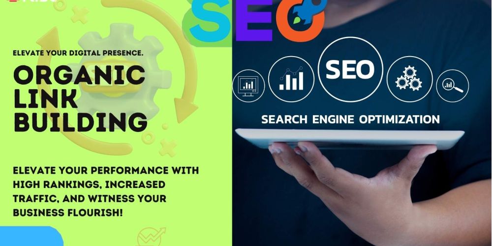 Organic Link Building | IRISE SEO Agency 2024 6 Organic Link Building 566ba234