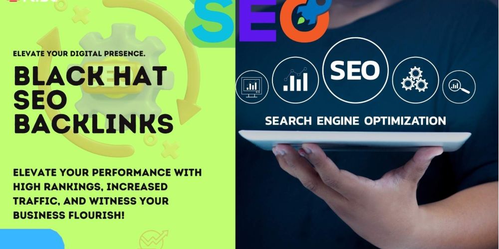 Black Hat Seo Backlinks 5fe5a066