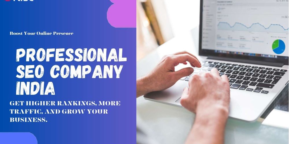 Professional Seo Company India 1 6f61786d