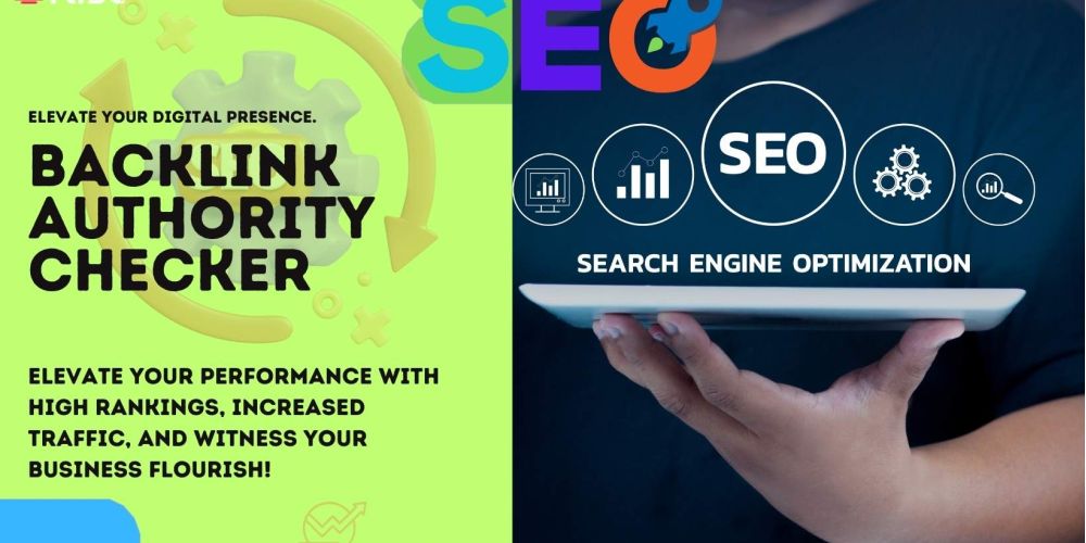 Backlink Authority Checker | IRISE SEO Agency 2024 6 Backlink Authority Checker 8670ea8a