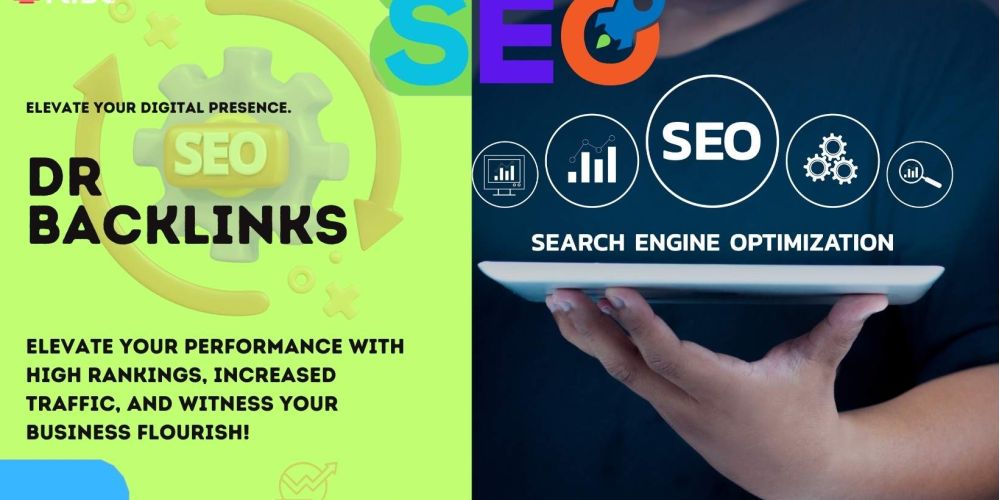 Dr Backlinks | IRISE SEO Agency 2024 6 Dr Backlinks b126a458
