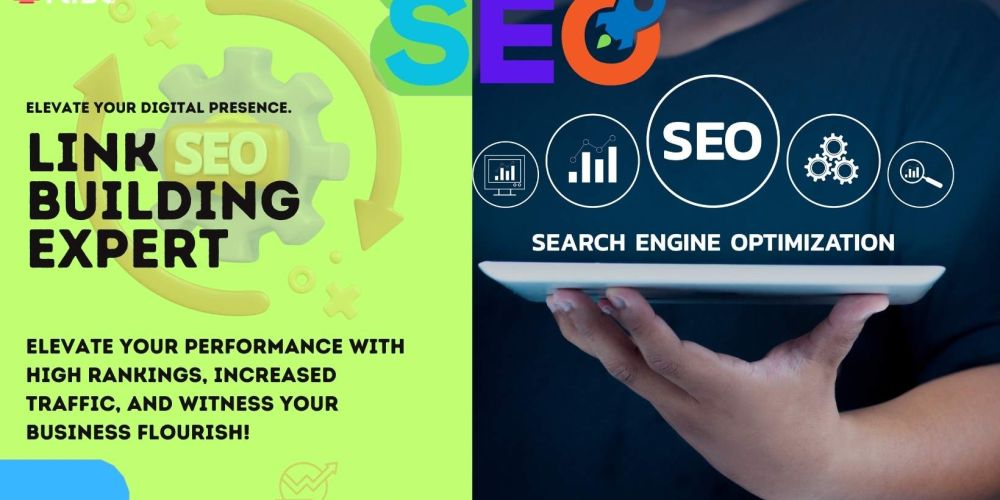 Link Building Expert d005627a